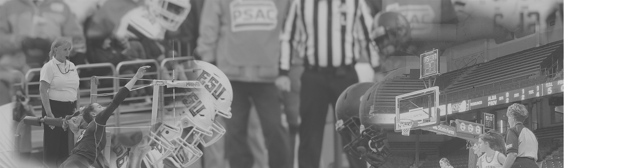 Hammer Sports Officials banner background